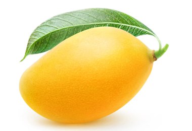 Beyaz arka planda izole edilmiş sarı bir mango meyvesi