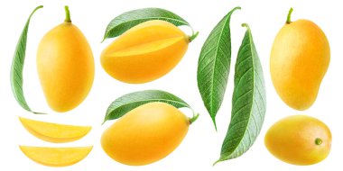 İzole mango koleksiyonu. Tayland sarısı, farklı şekillerde meyveler, parçalar ve yapraklar beyaz arka planda izole edilmiş.