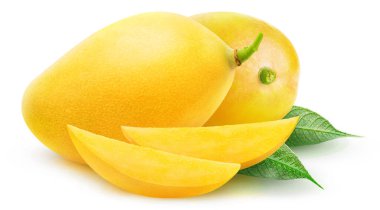 İzole edilmiş sarı mangolar. Kesme yolu ile beyaz zemin üzerinde izole iki mango meyve ve dilimleri