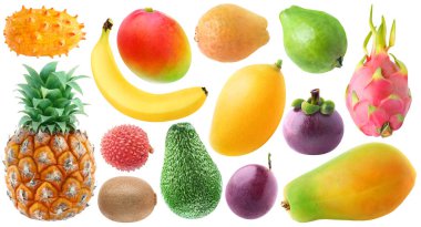 İzole edilmiş tropikal meyve koleksiyonu. Taze kiwano, muz, kırmızı ve sarı mango, mangosteen, ananas, lichee, kivi, avokado, tutku meyvesi, ejderha meyvesi, yeşil ve sarı guava beyaz arka planda izole edilmiş.