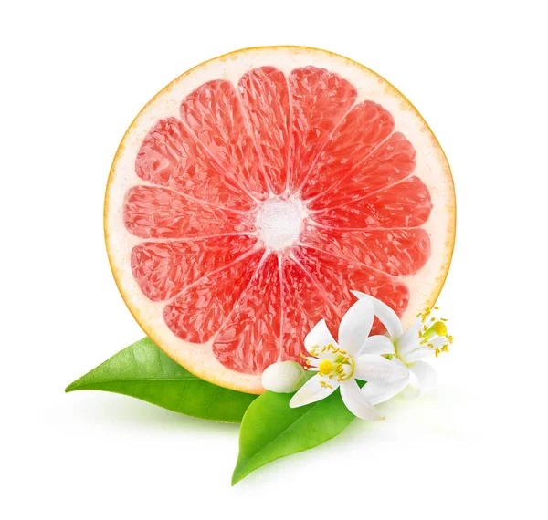 Cross Section Pink Grapefruit Grapefruit Tree Leaves Blossoms Isolated White — Stock Photo, Image