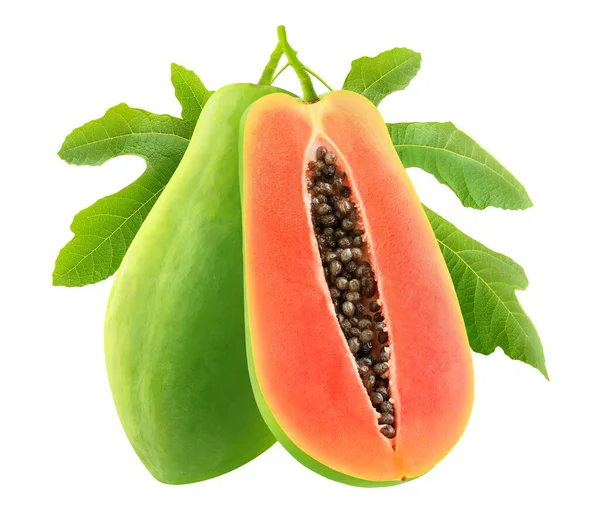 Geïsoleerde Papaya Snijd Papaya Vruchten Een Boomtak Met Ieaves Geïsoleerd — Stockfoto