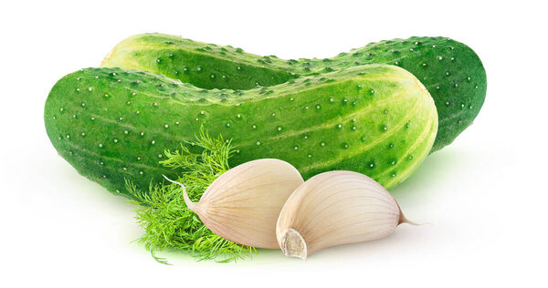 Isolated pickled cucumbers. Two whole gherkins, cloves of garlic and dill leaf isolated on white background