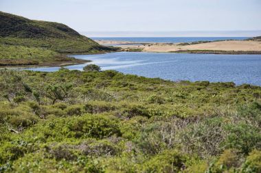 Point Reyes Milli Seashore, Kaliforniya