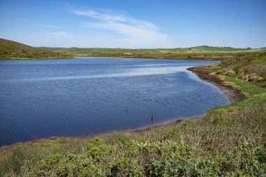 Point Reyes Milli Seashore, Kaliforniya
