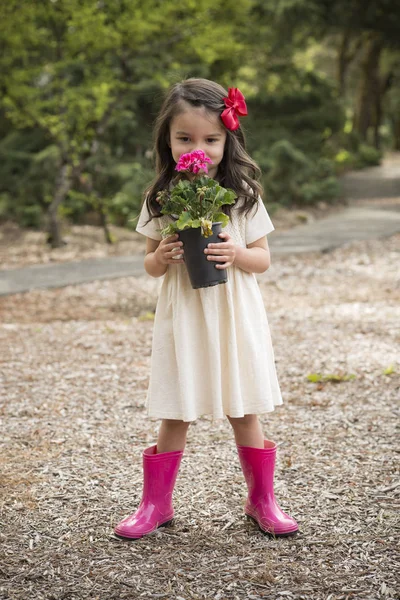 Little Hispanic girl with flowers