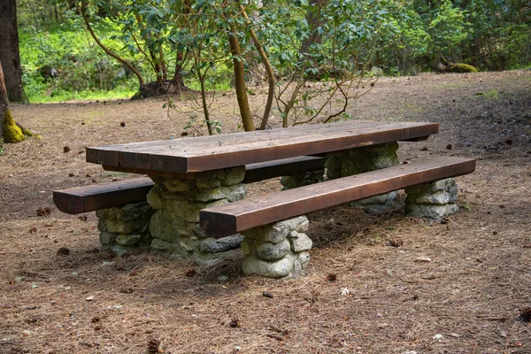 Mesa de picnic clásica — Foto de Stock