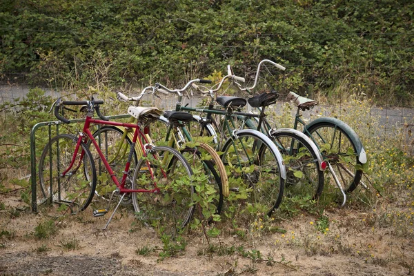 Biciclette parcheggiate all'esterno Immagini Stock Royalty Free