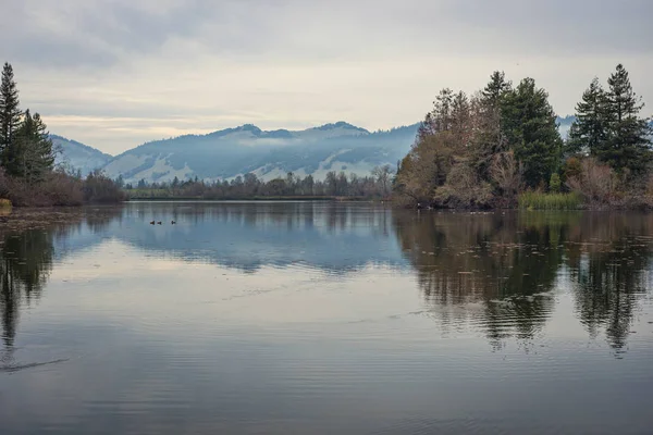 Lake scenic no inverno — Fotografia de Stock