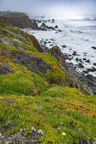 Costa della California settentrionale — Foto Stock