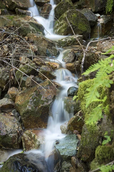小河在舒格洛夫岭州立公园 — 图库照片