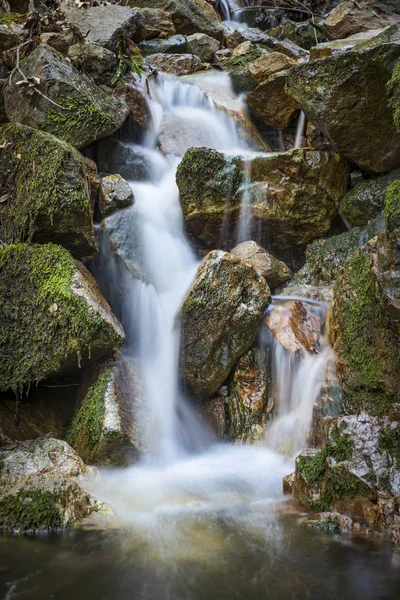 Creek w Sugarloaf Ridge State Park — Zdjęcie stockowe