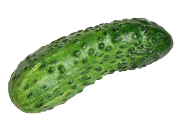Beyaz bir arka plan üzerinde izole salatalık — Stok fotoğraf