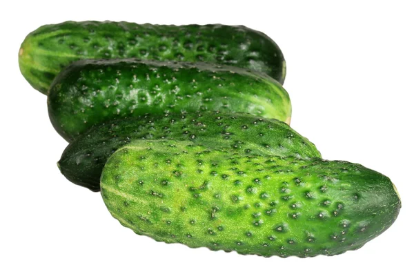 Cucumber it is isolated on a white background — Stock Photo, Image