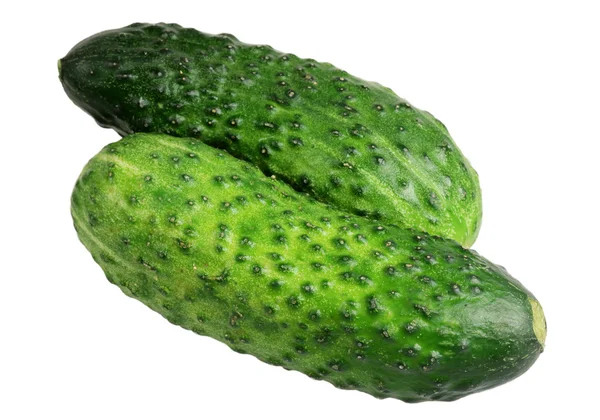 Komkommer die is het geïsoleerd op een witte achtergrond — Stockfoto