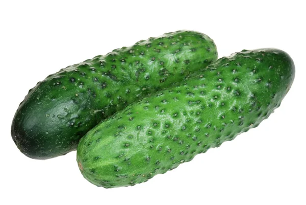 Cucumber on a white background — Stock Photo, Image