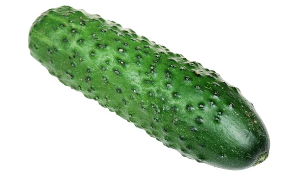 Cucumber on a white background — Stock Photo, Image