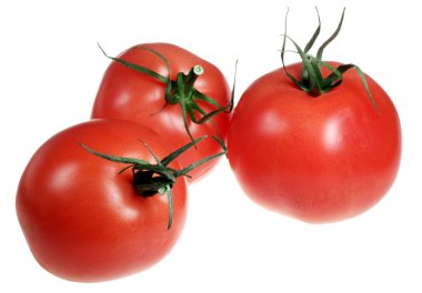 Beyaz arkaplanda domatesler