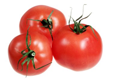 Beyaz arkaplanda domatesler