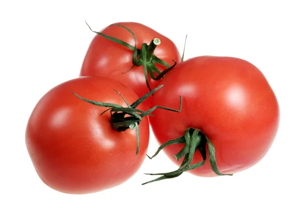 Tomates sobre fondo blanco — Foto de Stock