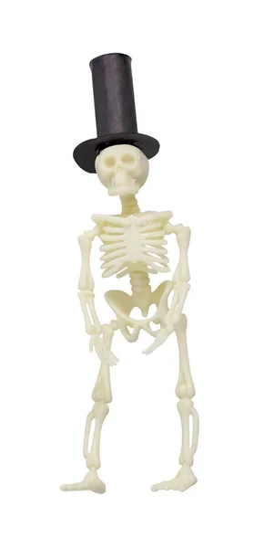 Esqueleto vestindo chapéu superior Vista frontal — Fotografia de Stock