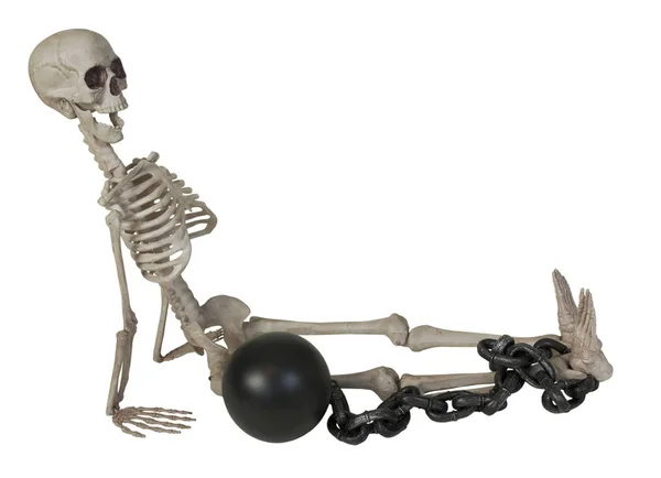 Skelet met bal en ketting — Stockfoto