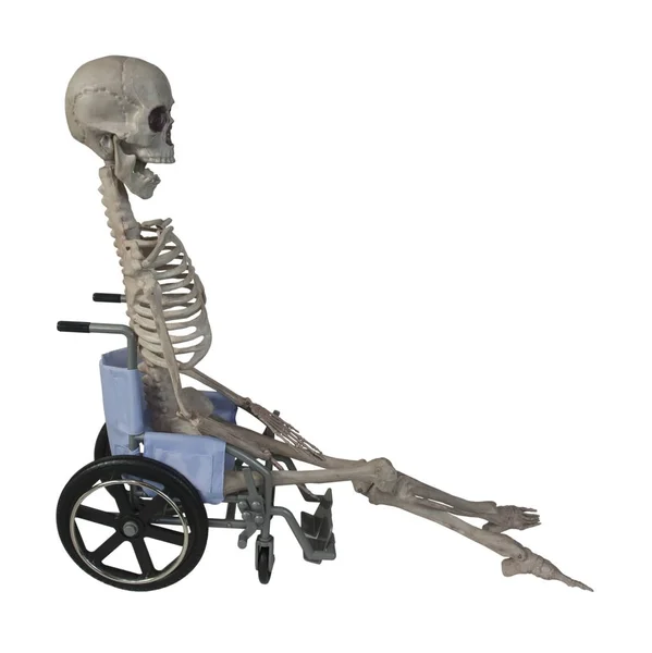 Szkielet na wózku inwalidzkim — Zdjęcie stockowe