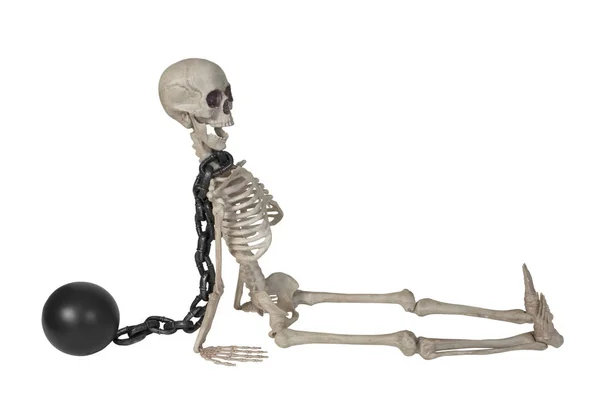 Σκελετός με μπάλα και αλυσίδα γύρω από το λαιμό — Φωτογραφία Αρχείου