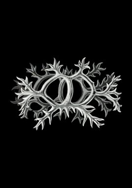  mikroorganizma plankton virüs vektör