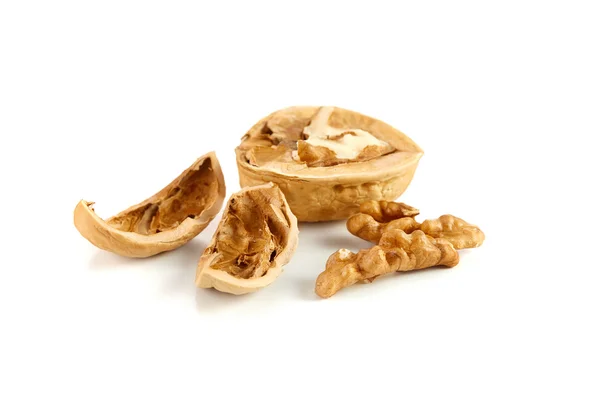 Spruckna Wallnuts Med Shell Isolerad Vit Bakgrund — Stockfoto