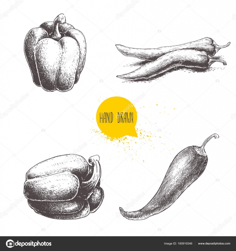 Peperone dolce e rosso peperoncini piccanti Insieme di verdure fresche di mercato dell annata isolato su priorit  bassa bianca