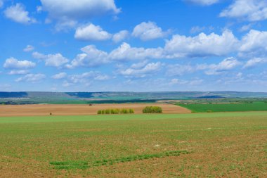 Parlak güneşli bahar günü ekili alan üzerinde büyük bulutlar ile
