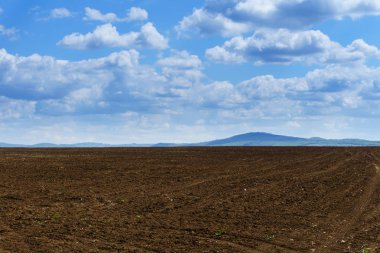 Parlak güneşli bahar günü ekili alan üzerinde büyük bulutlar ile