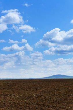 Parlak güneşli bahar günü ekili alan üzerinde büyük bulutlar ile