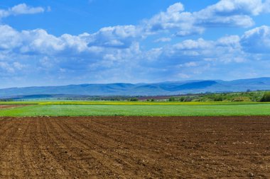 Parlak güneşli bahar günü ekili alan üzerinde büyük bulutlar ile