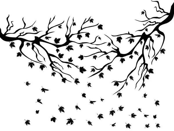 黑色的枫树下降背景 — 图库矢量图片