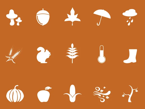 Iconos de otoño blanco sobre fondo marrón — Archivo Imágenes Vectoriales
