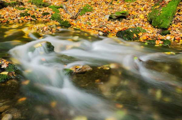 Színes őszi erdő kis patak zuhatag — Stock Fotó