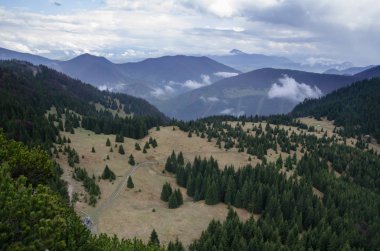Mala Fatra Np dağlarla çayır ve orman, Slovakya