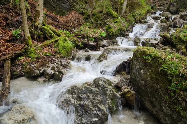 Flux rapid de apă cu cascade în Mala Fatra NP, Slovacia — Fotografie, imagine de stoc