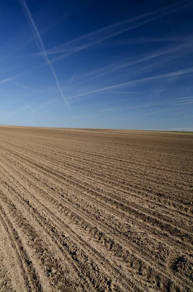 Landschap met bruin veld en de blauwe hemel — Stockfoto