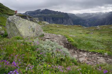 Dağ manzarası Norveç'te Hardangervidda'da Milli Parkı