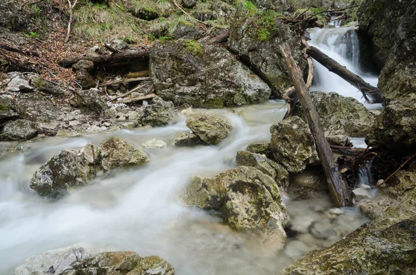 Mały wodospad w Mala Fatra Np, Słowacja — Zdjęcie stockowe