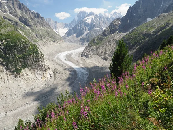 Alpská krajina s horami a ledovcovým údolím — Stock fotografie