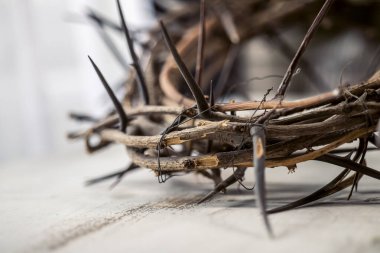 Beyaz arka plan üzerinde dikenli taç