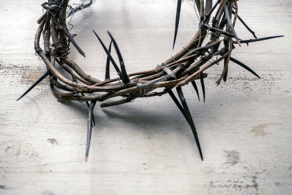 Crown of thorns over a light background