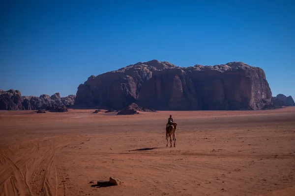 Uomo Cavallo Cammello Attraverso Paesaggio Desertico — Foto Stock