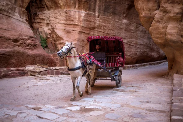 Inwoners Van Petra Jordanië — Stockfoto