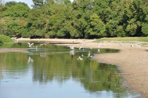 Louet river in Anjou — Stock Photo, Image