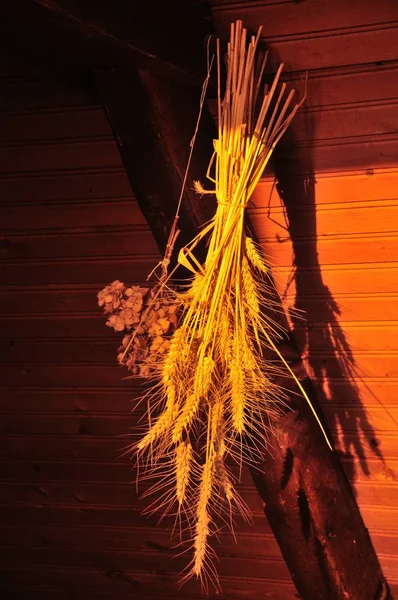 Wheat sheaf attached to a beam — Stock Photo, Image